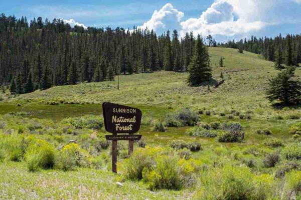 July 30, 2021: Colorado's Gunnison National Forest